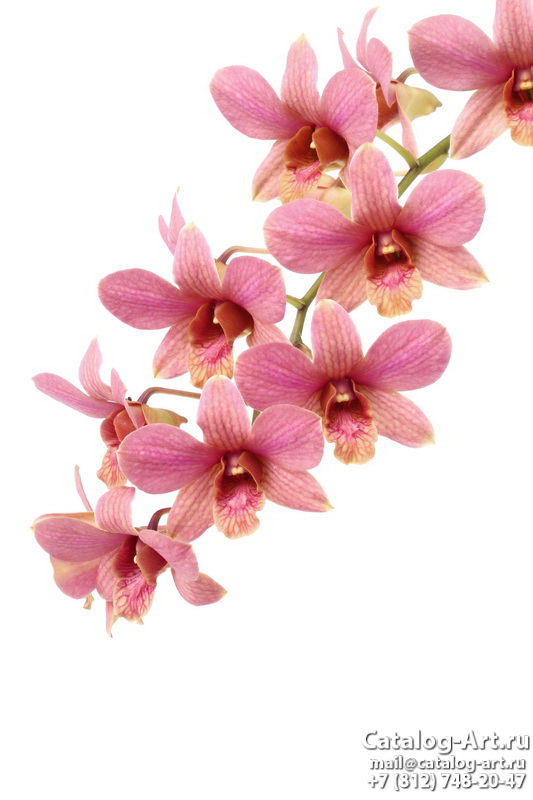 картинки для фотопечати на потолках, идеи, фото, образцы - Потолки с фотопечатью - Розовые орхидеи 100